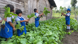 Berkebun di Sekolah, Salah Satu Kegiatan Edukatif Anak yang Penuh Manfaat