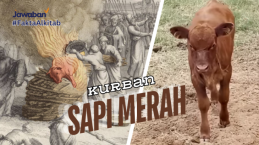 Kurban Sapi Merah dan Kontroversi Pembanguan Bait Allah ke Tiga